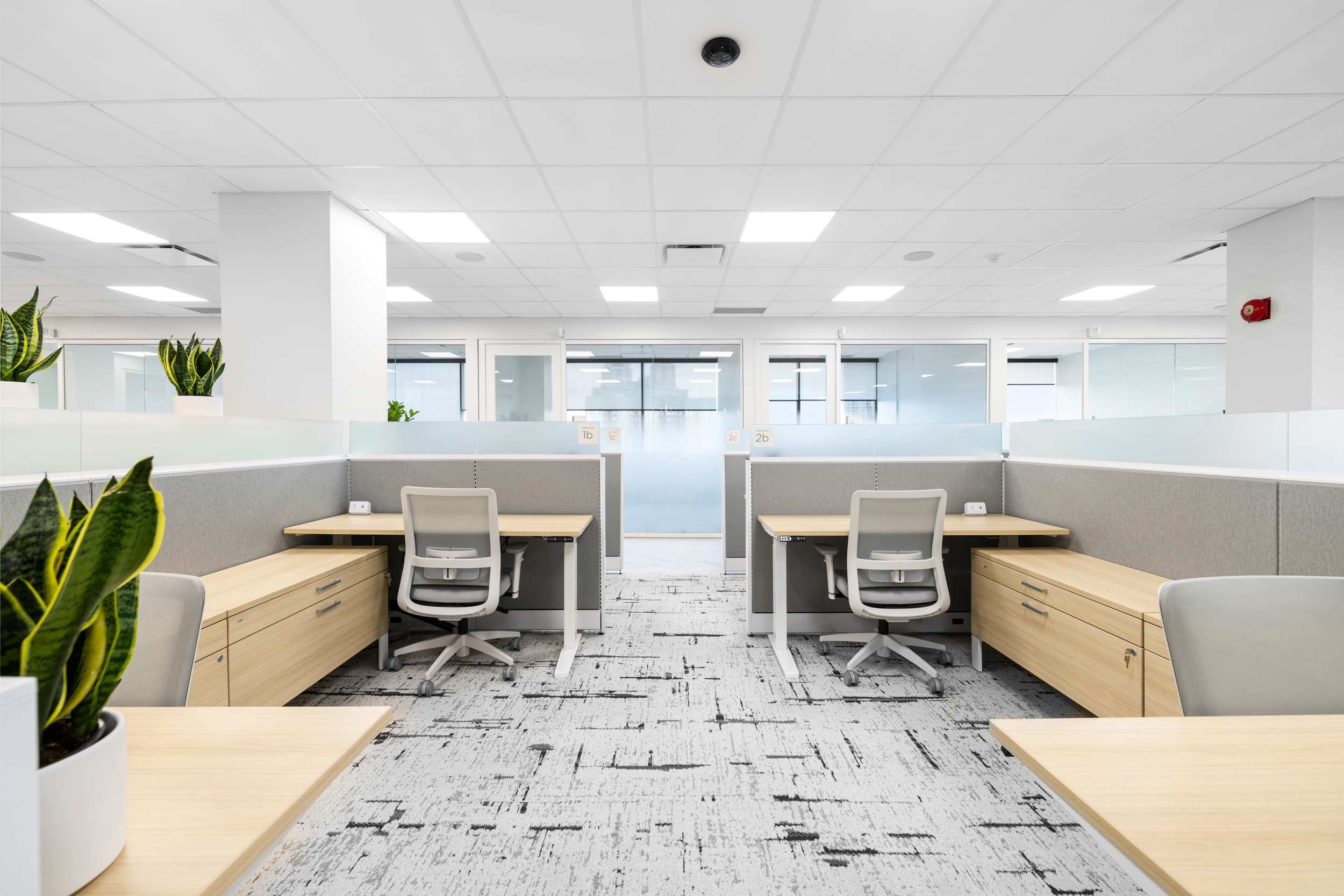 Co-working Space
