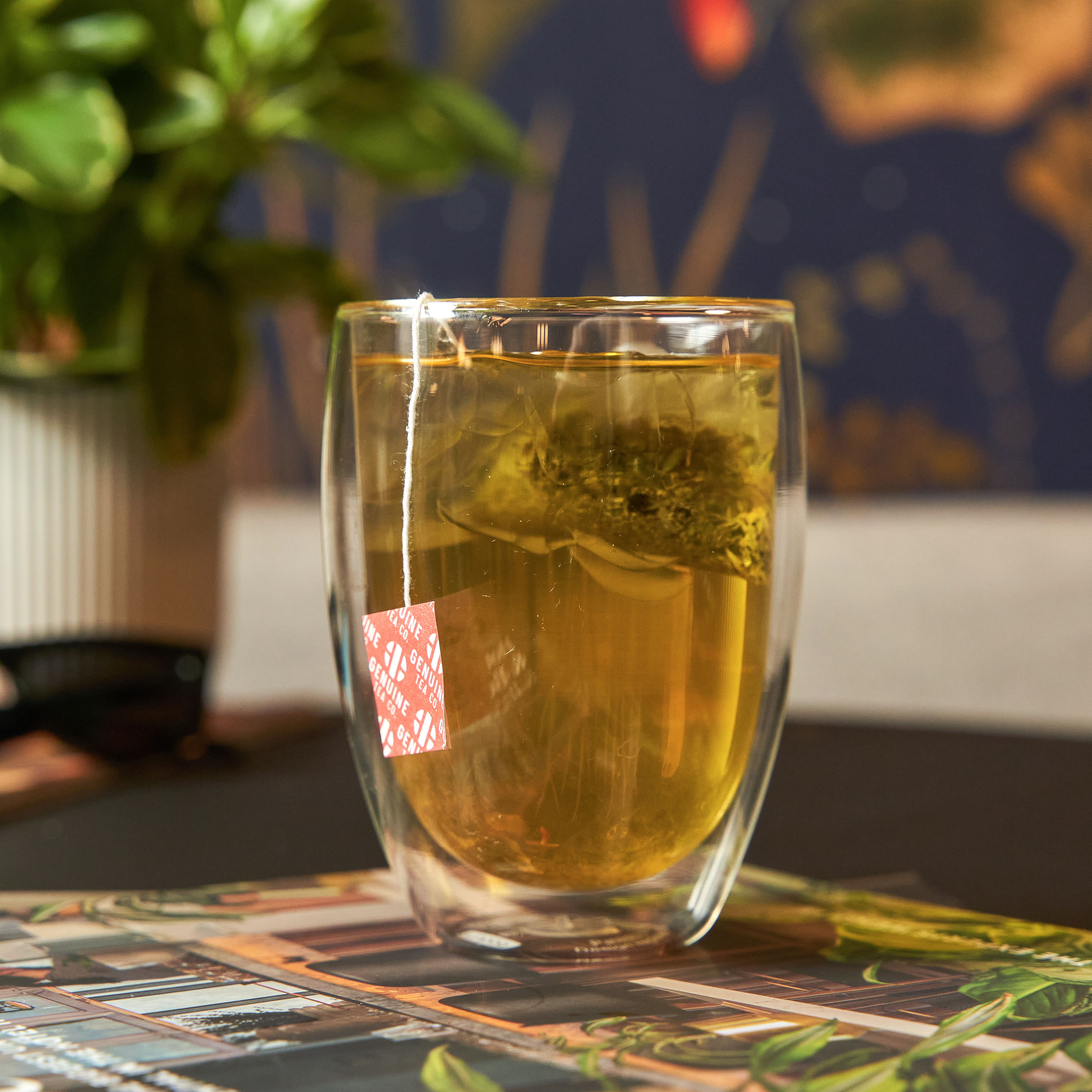 Sencha